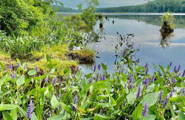Beautiful Lakefront Chalet in the Poconos! - Foto 13