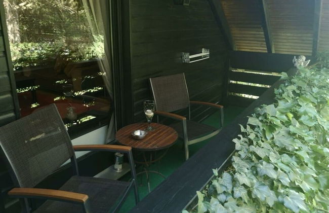 Mechthild and Hans-jurgen Geschwind - Foto 32