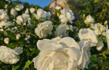 Armonia Guesthouse - Foto 32