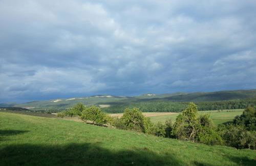 Ferienhof"WaldEsel Rippersroda" - Foto 25