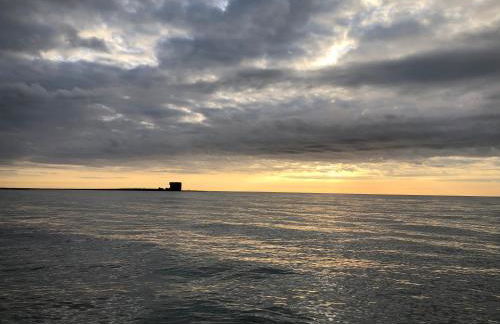 Au cœur du Sénéchal - Foto 49