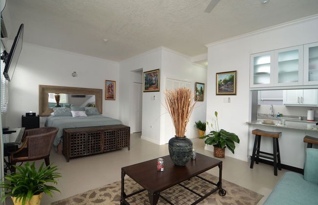 Kingsway New Kingston Guest Apartment II - Foto 1