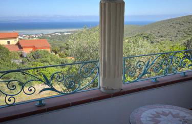 Buena Vista - Foto 10