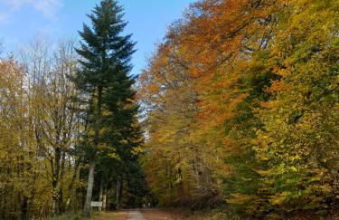 Gîte 4 étoiles La Belle Eau Calme - Foto 40