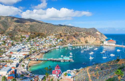 Ocean View Suite by Convention Center & Beach - Foto 36