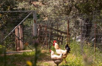 House Of Ntounias ΙΙ - Photo 26