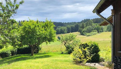 Waldhaus-Vulkaneifel - Foto 4, Garden view