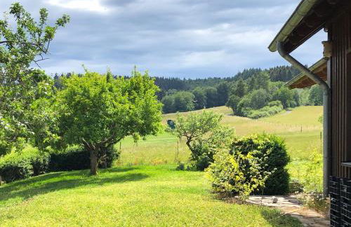 Waldhaus-Vulkaneifel - Foto 4