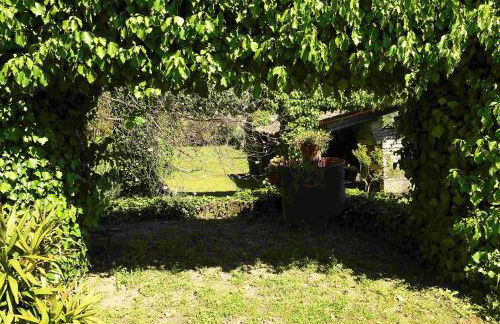 Quinta da Fata - Foto 60