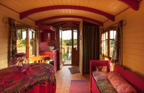 Dihan Evasion - Foto 48