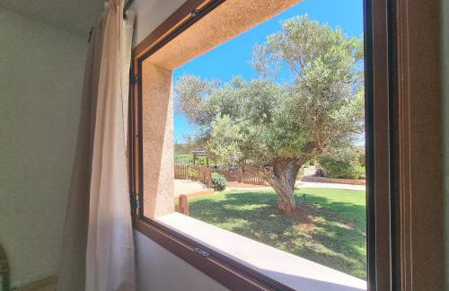 Agroturismo Sa Marina - Adults Only - Foto 58