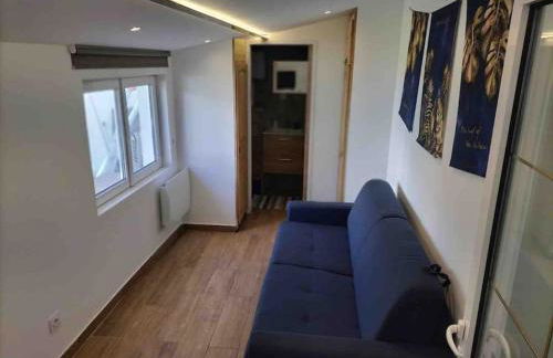 Micro maison Lyon 8/ Parking / Terrain de pétanque - Photo 2