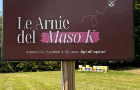 Maso K - Il Gufo Dorato - Foto 41