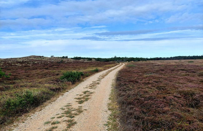 Holiday Home in Nørre Nebel - Foto 14