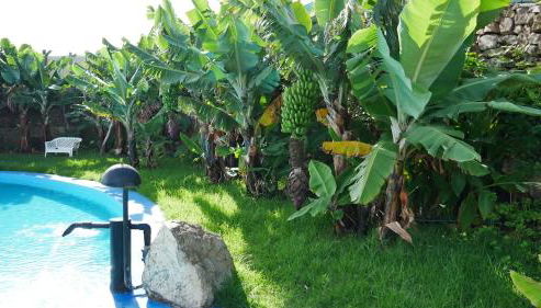 Villa Canaria Luna - Large saltwater pool - Photo 4, Garden, Garden view