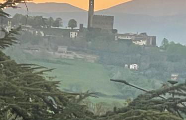 La lavanda di Poppi-mini appartamento - Foto 47