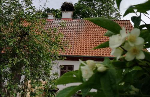 Żywkowo Bocianie Gospodarstwo Rolne - Foto 1