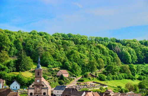 Gîte Bien-être, Sauna, Bain nordique à Soucht (57) - Foto 24