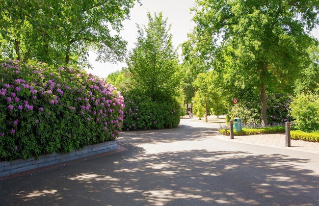 Lodge in Brabant With Cozy Covered Terrace - Photo 34