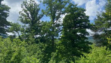 Coquette maison neuve de plain pied au cœur des Hautes Vosges, - Foto 5