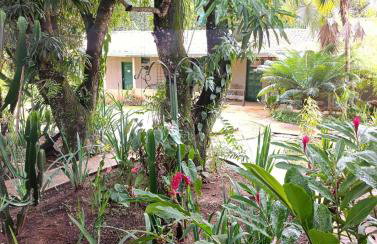 Ananda Multiverse Evolve 15' from the Botanical Garden - Foto 29