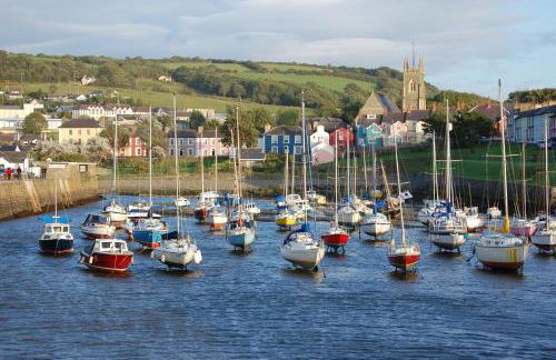 Nyth y Wennol Aberaeron - Photo 23