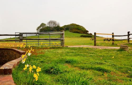 Queen Bower Farm Lodge - Foto 84