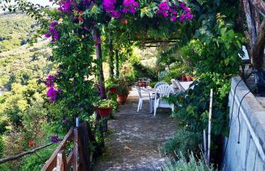 Daenerys Home in Agios Ioannis Papa Nero - Foto 35