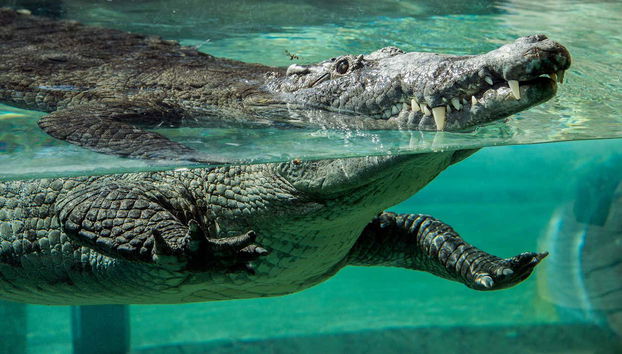 Entrada al Zoo de Miami
