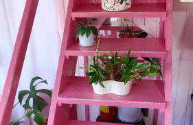 casarosaencantada -villaencantorosa - Photo 8