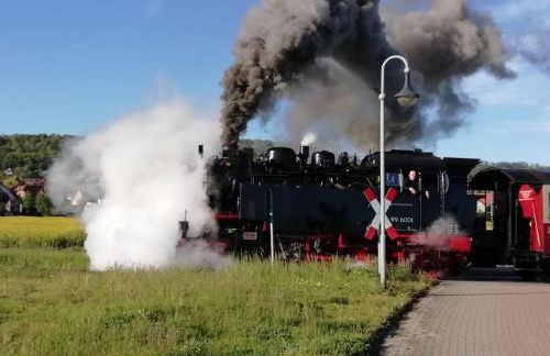 Ferienwohnung Quedlinburg OT Gernrode Harz - Foto 10