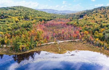 Mitten Pines Cabin Hot Tub Fire Pit - Foto 70