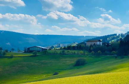 Ferienwohnung-direkt-am-Skihang mit Sauna - Foto 55