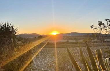 Masía entre viñedos y mar - Foto 35