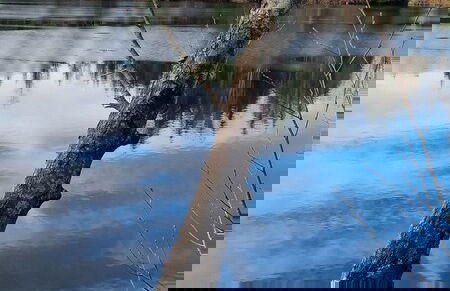 Villa Alpenpanorama - Foto 39