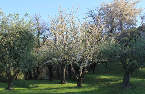 Convento La Perla - Foto 60