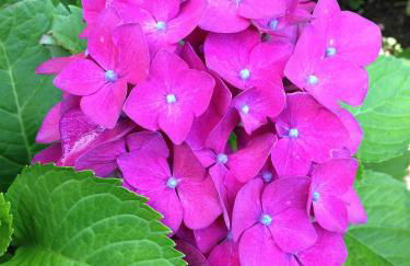 Ferienwohnung Will - Photo 31