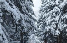 Apartament Ca La Nena - Photo 30