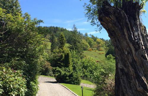 Leny Estate - Photo 9