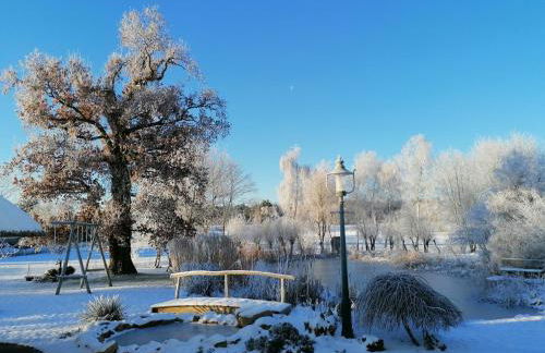 Landtraum im Traumland Mecklenburg - Foto 47