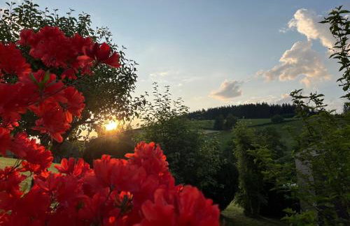 Weideblick, traumhaft wohnen im Schwarzwald - Foto 51