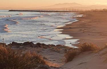 T2 cosy à la plage, terrasse vue sur mer et parking privatif - Photo 24