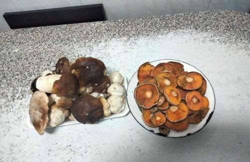 Refugio del cañon - Photo 7