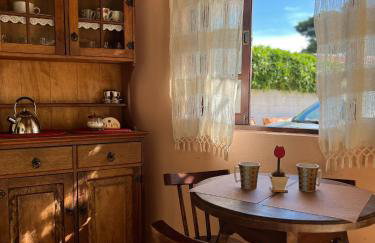 Rancho Vargem - Foto 31