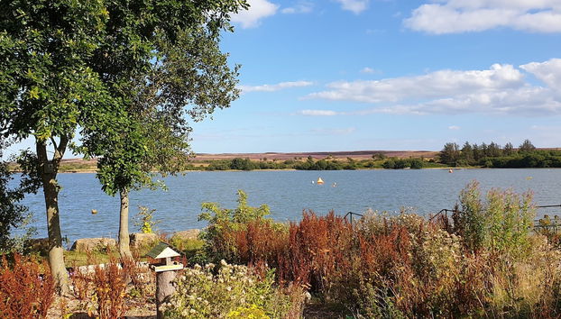 6m xl Bell Tent, Near Whitby, With log Burner - Foto 5, Miscelánea