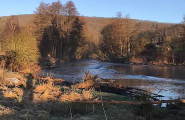 Ferienhaus Holz-Blockhaus Heimbach Blens Rureifel very cosy wooden Blockhome - Foto 50