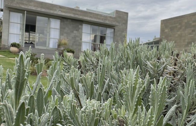 G Great Rift Villas - Foto 73