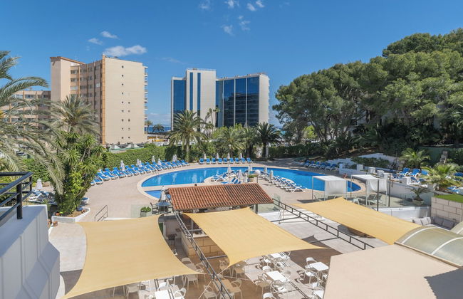 Sol Lunamar Palmanova Apartamentos – Adults Only - Foto 25