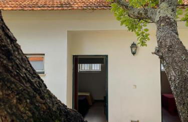 Casa Luis Pato - Foto 64