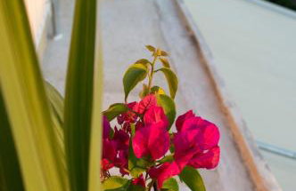 Downtown Cozy penthouse For balcony lovers - Foto 23